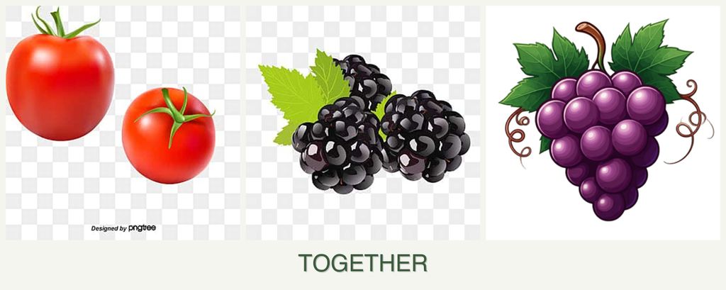 Can you plant tomatoes, blackberries and grapes together?
