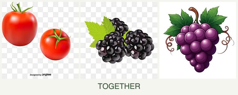 Can you plant tomatoes, blackberries and grapes together?