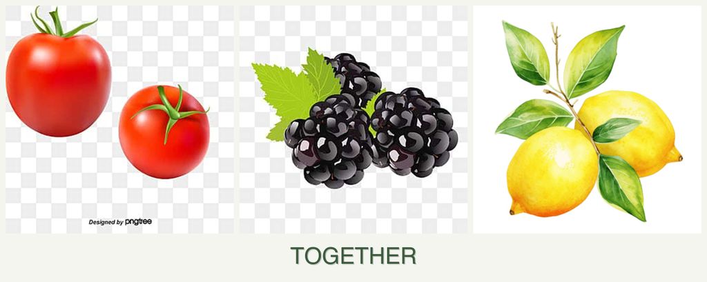 Can you plant tomatoes, blackberries and lemons together?