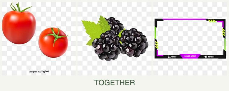 Can you plant tomatoes, blackberries and limes together?