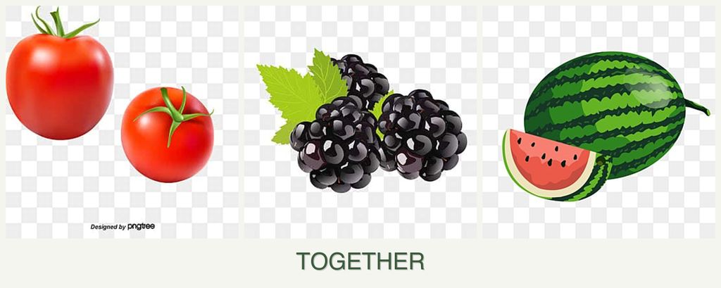 Can you plant tomatoes, blackberries and melons together?