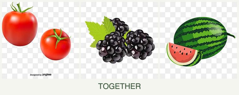 Can you plant tomatoes, blackberries and melons together?