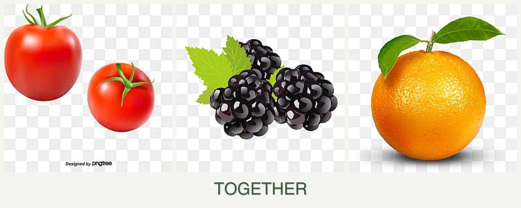 Can you plant tomatoes, blackberries and oranges together?