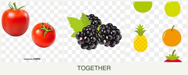 Can you plant tomatoes, blackberries and pears together?
