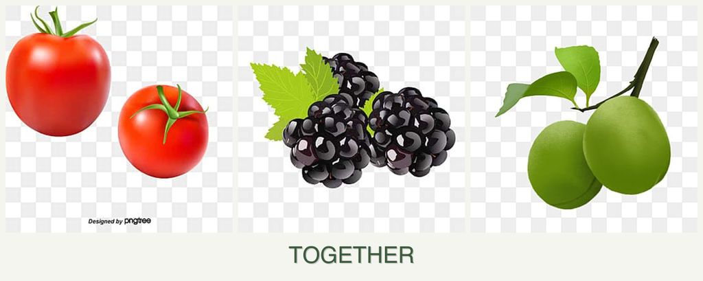 Can you plant tomatoes, blackberries and plums together?