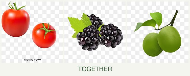 Can you plant tomatoes, blackberries and plums together?