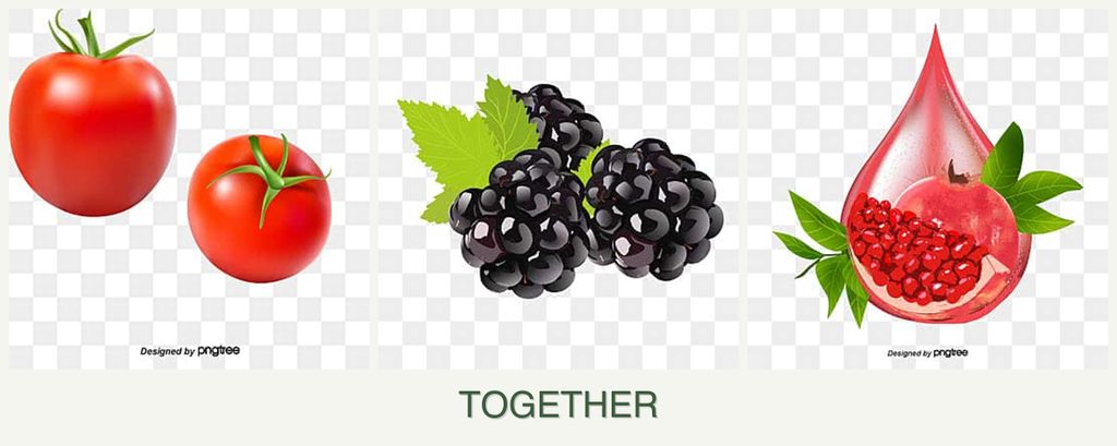Can you plant tomatoes, blackberries and pomegranates together?