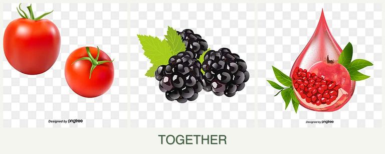 Can you plant tomatoes, blackberries and pomegranates together?