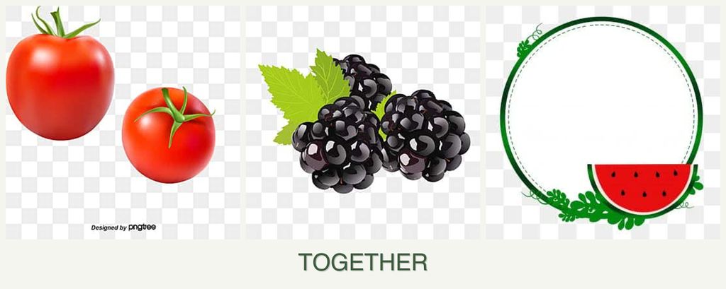 Can you plant tomatoes, blackberries and watermelons together?