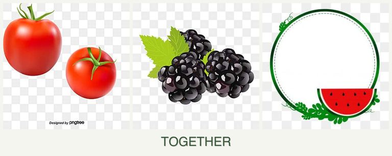 Can you plant tomatoes, blackberries and watermelons together?