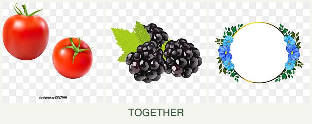 Can you plant tomatoes, blackberries and zinnias together?