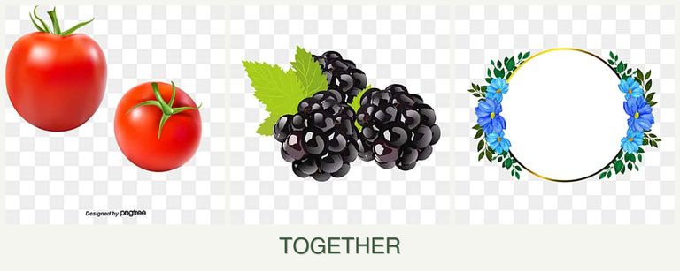 Can you plant tomatoes, blackberries and zinnias together?