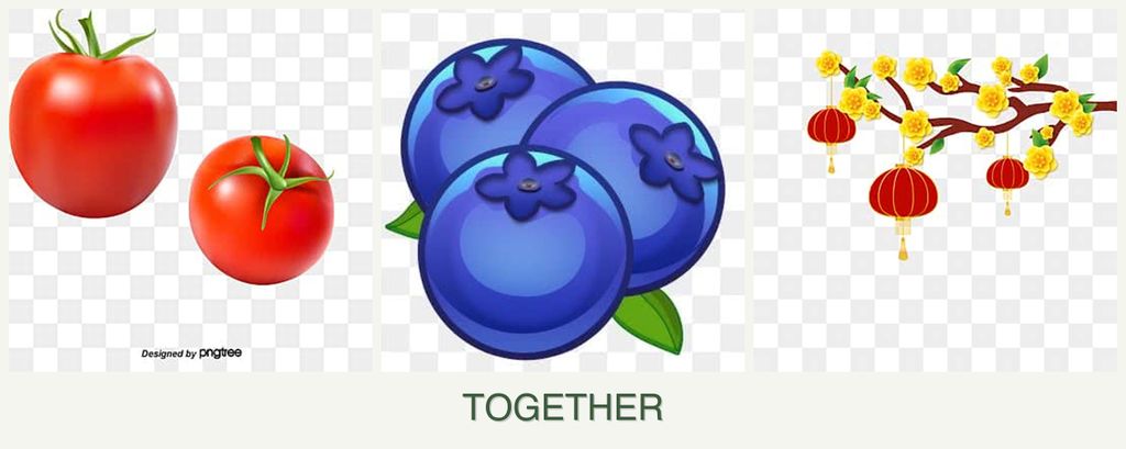 Can you plant tomatoes, blueberries and apricots together?