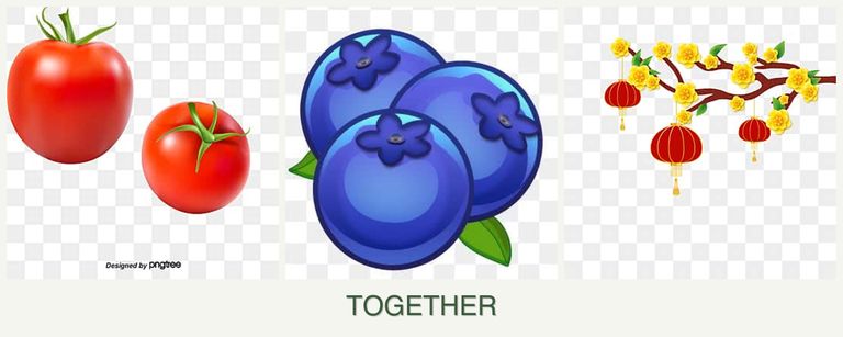 Can you plant tomatoes, blueberries and apricots together?