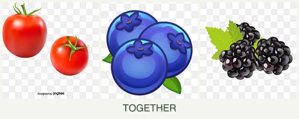 Can you plant tomatoes, blueberries and blackberries together?