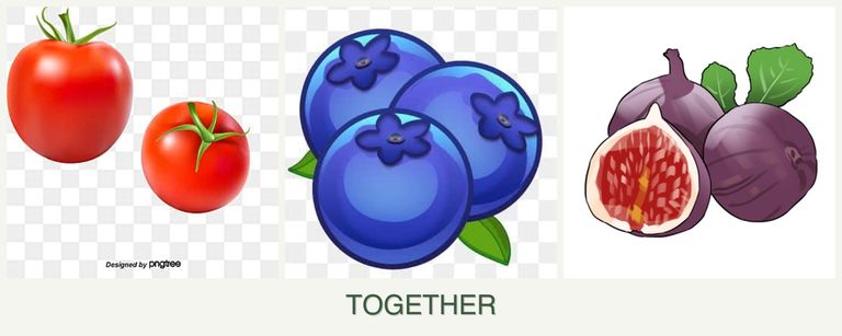 Can you plant tomatoes, blueberries and figs together?