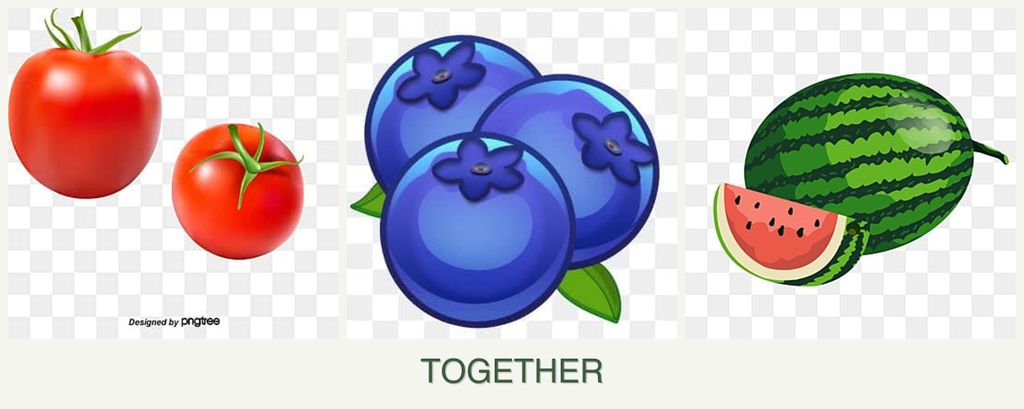 Can you plant tomatoes, blueberries and melons together?
