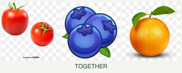 Can you plant tomatoes, blueberries and oranges together?