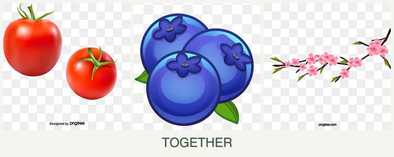 Can you plant tomatoes, blueberries and peaches together?