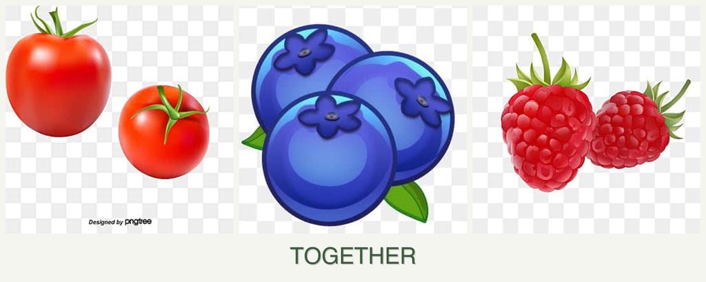 Can you plant tomatoes, blueberries and raspberries together?
