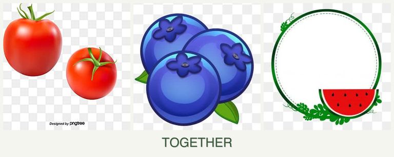 Can you plant tomatoes, blueberries and watermelons together?