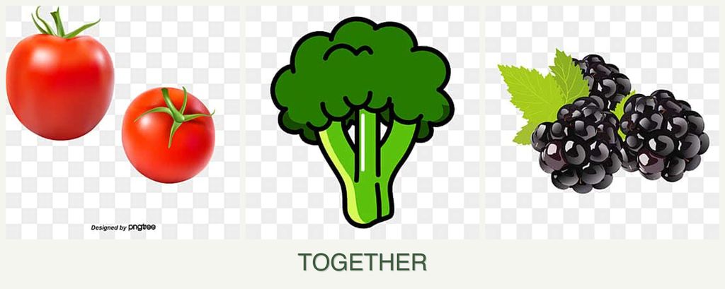Can you plant tomatoes, broccoli and blackberries together?