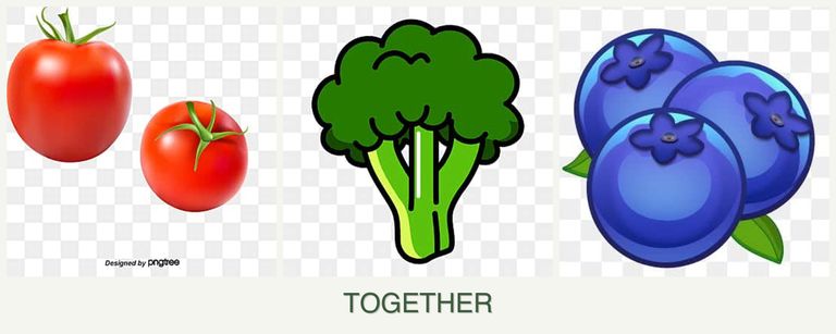 Can you plant tomatoes, broccoli and blueberries together?