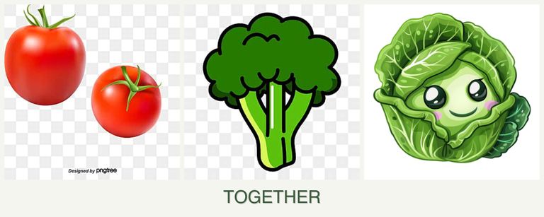 Can you plant tomatoes, broccoli and cabbage together?