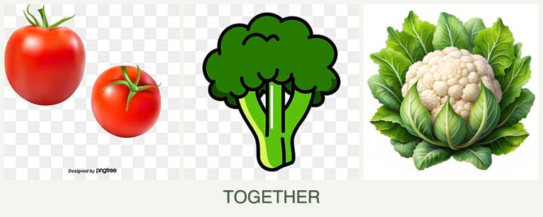 Can you plant tomatoes, broccoli and cauliflower together?