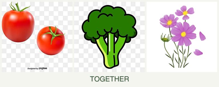 Can you plant tomatoes, broccoli and cosmos together?