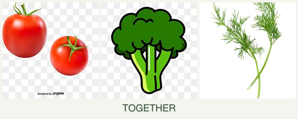 Can you plant tomatoes, broccoli and dill together?