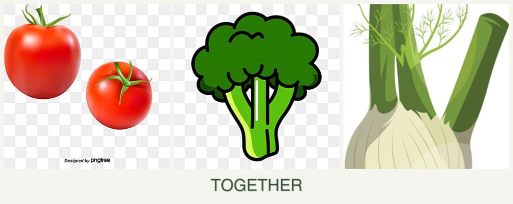 Can you plant tomatoes, broccoli and fennel together?