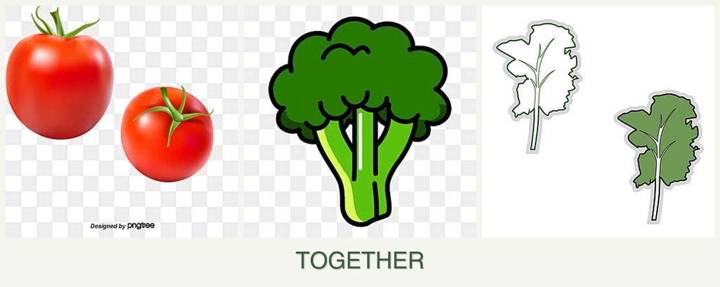 Can you plant tomatoes, broccoli and kale together?