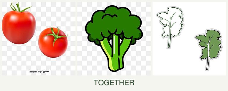Can you plant tomatoes, broccoli and kale together?