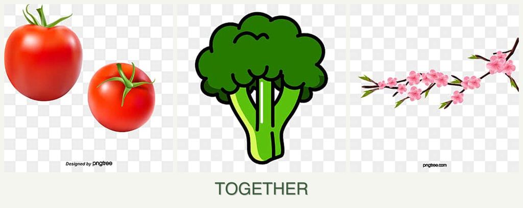 Can you plant tomatoes, broccoli and peaches together?