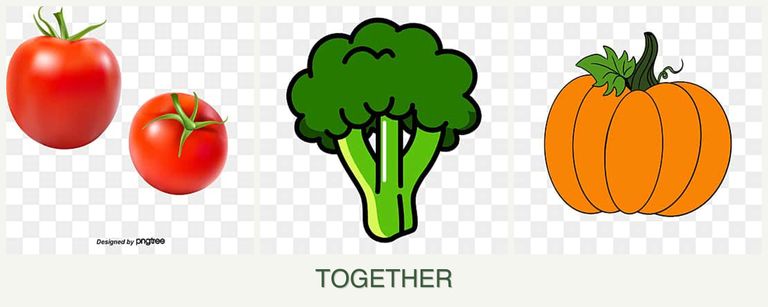 Can you plant tomatoes, broccoli and pumpkin together?