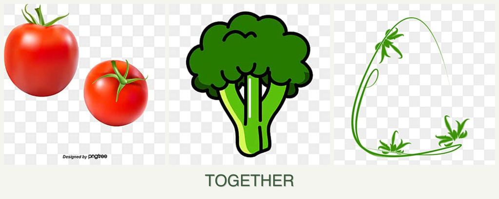 Can you plant tomatoes, broccoli and tarragon together?