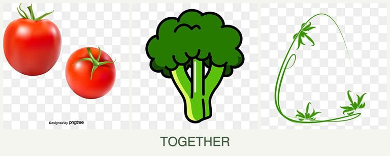 Can you plant tomatoes, broccoli and tarragon together?