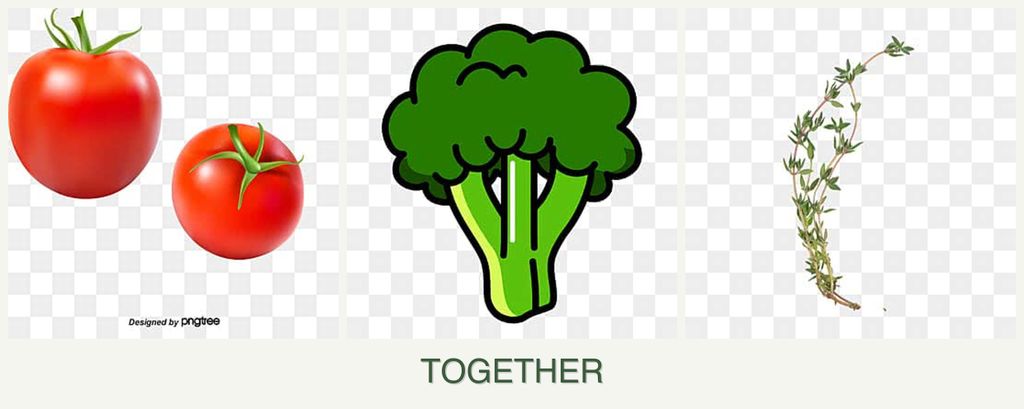 Can you plant tomatoes, broccoli and thyme together?