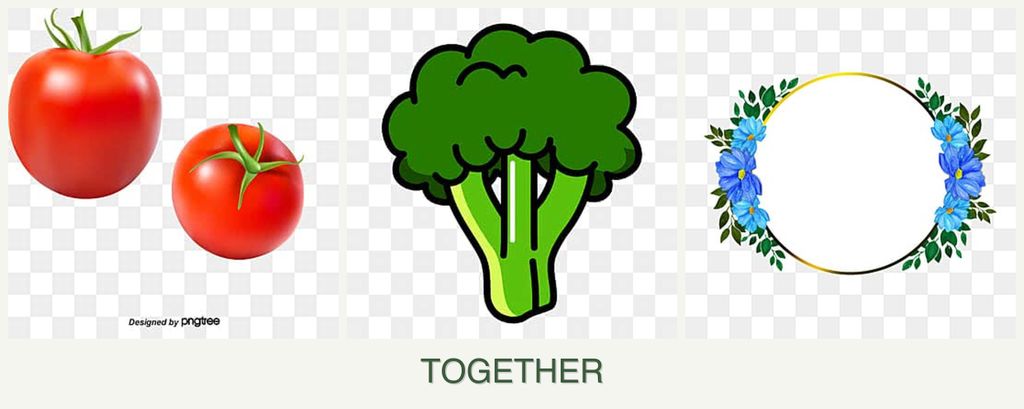 Can you plant tomatoes, broccoli and zinnias together?