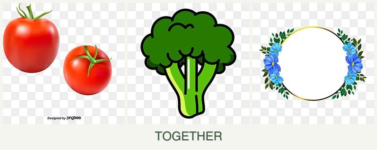 Can you plant tomatoes, broccoli and zinnias together?