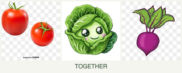 Can you plant tomatoes, cabbage and beets together?