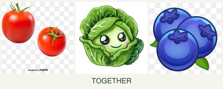 Can you plant tomatoes, cabbage and blueberries together?