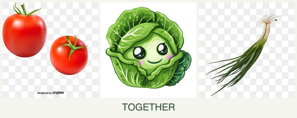 Can you plant tomatoes, cabbage and chives together?