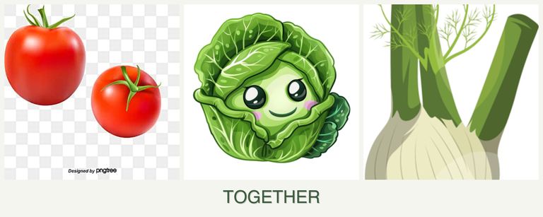 Can you plant tomatoes, cabbage and fennel together?