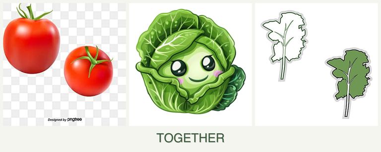 Can you plant tomatoes, cabbage and kale together?