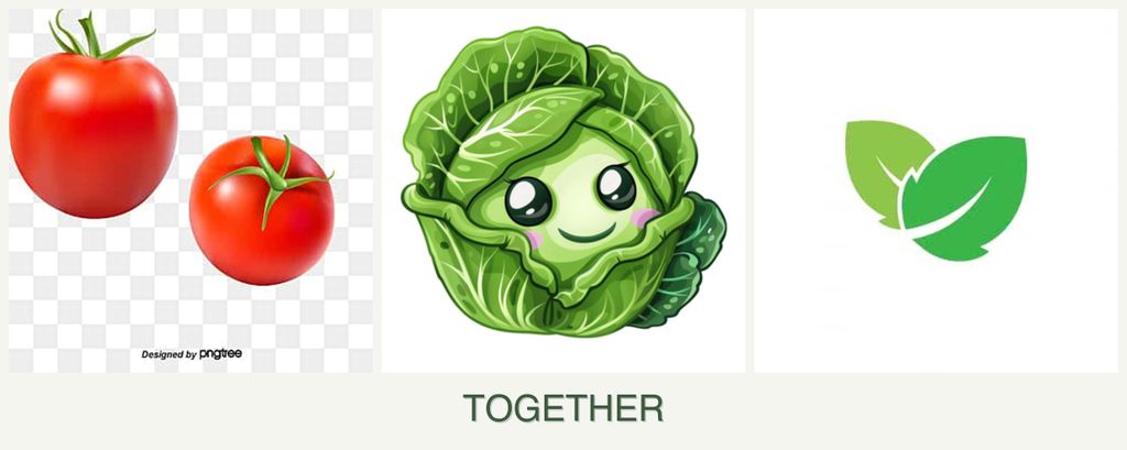 Can you plant tomatoes, cabbage and mint together?