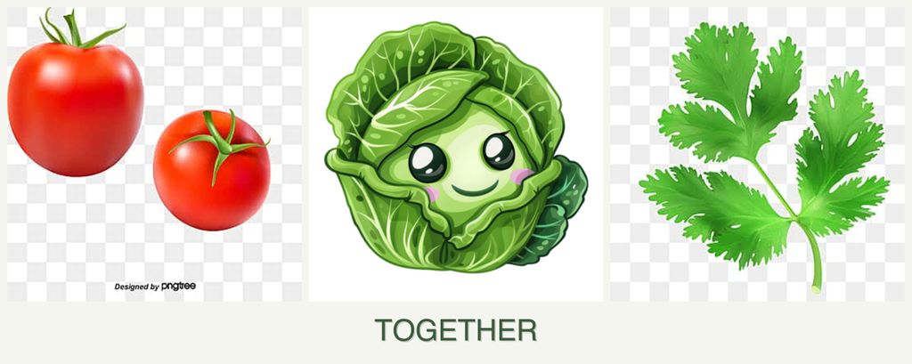 Can you plant tomatoes, cabbage and parsley together?