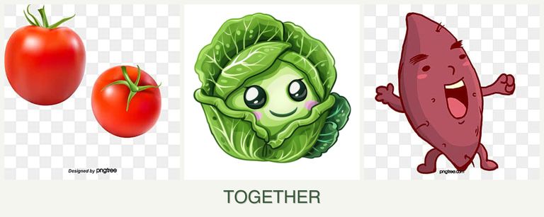 Can you plant tomatoes, cabbage and sweet potatoes together?