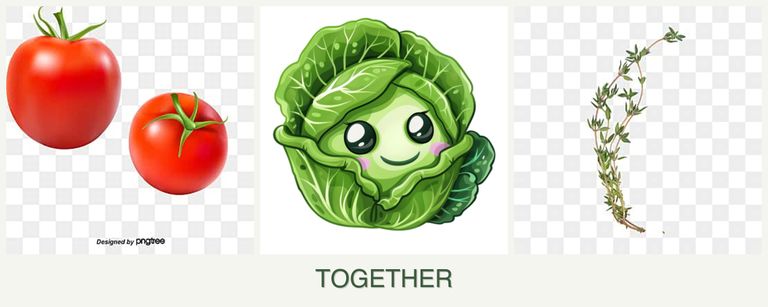 Can you plant tomatoes, cabbage and thyme together?